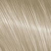 Davines 10,0- Lightest Blonde 2.02 Fl. Oz.
