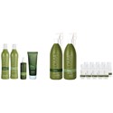 LOMA 2024 Healthy Hair Builder Intro